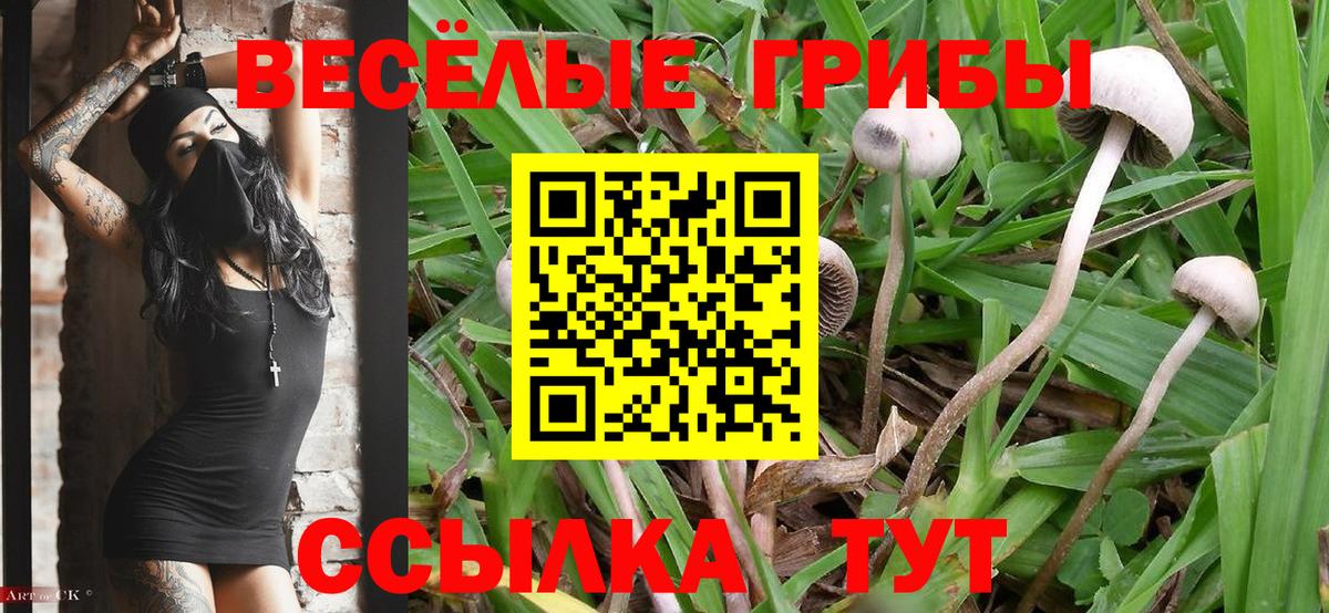 Псилоцибиновые грибы ЛСД  Псилоцибиновые грибы Cubensis  Вход с VPN  Благодарный 