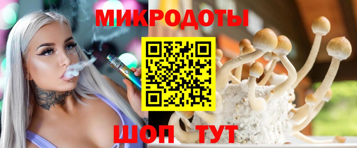 Псилоцибиновые грибы Psilocybe Благодарный